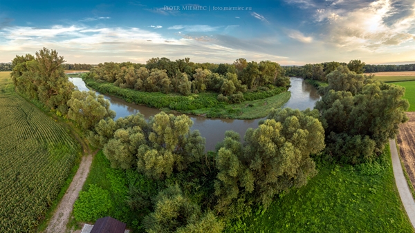 Meandry Odry – Chałupki → Zabełków